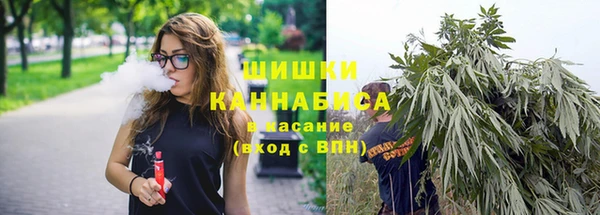 Альфа ПВП Сосновка