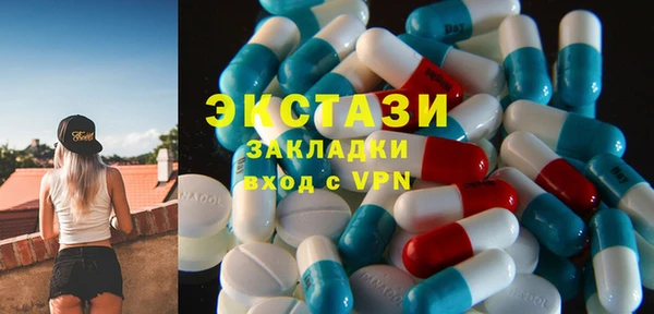 гашик Алексин